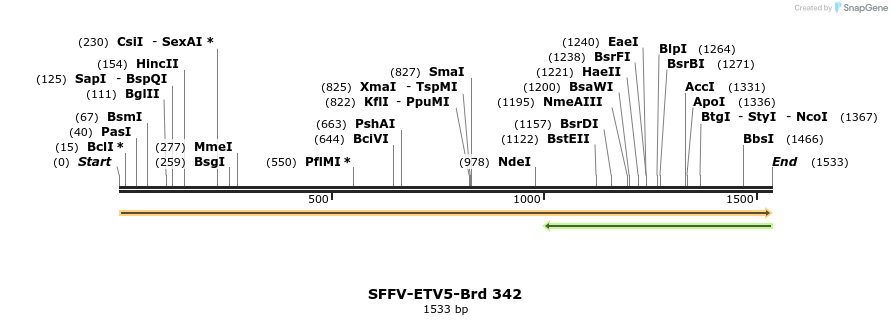 428284_map