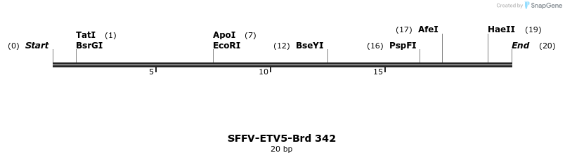 428285_map