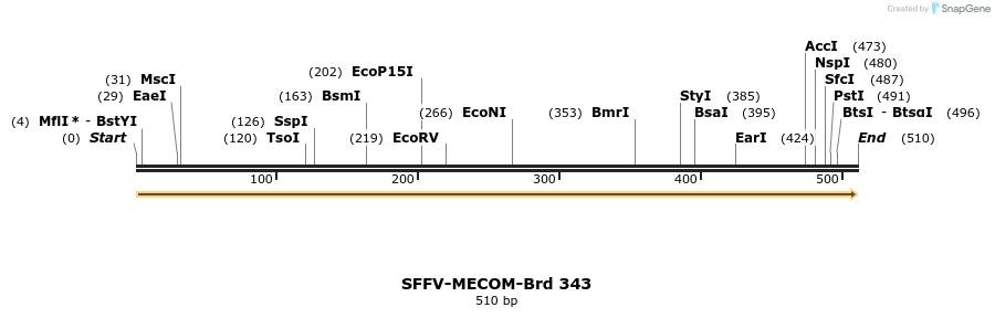 428287_map