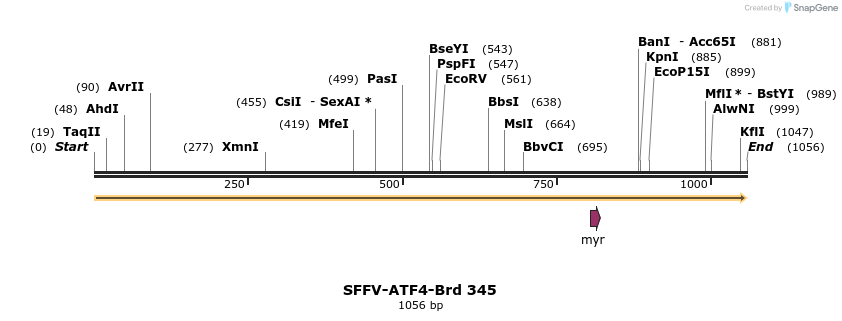 428293_map
