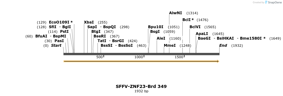 428305_map