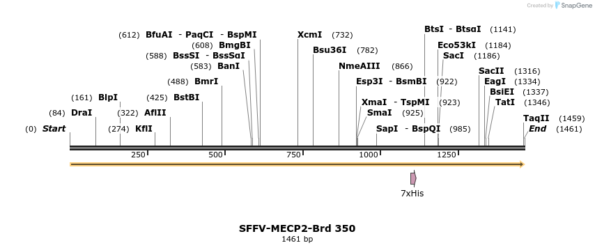 428308_map