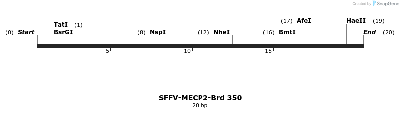 428309_map