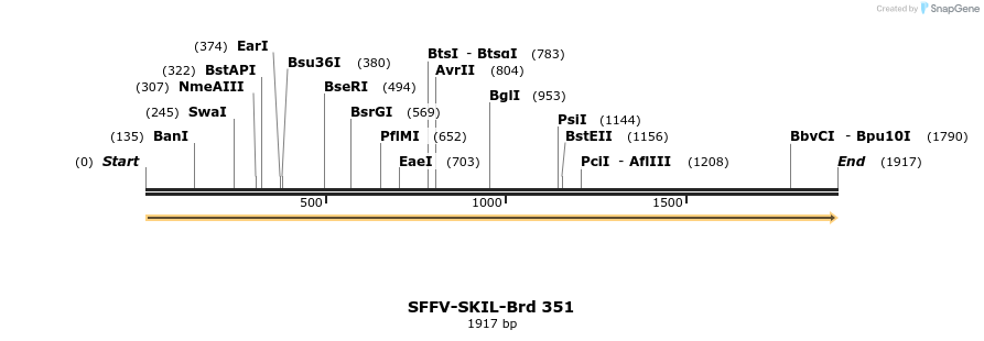428311_map