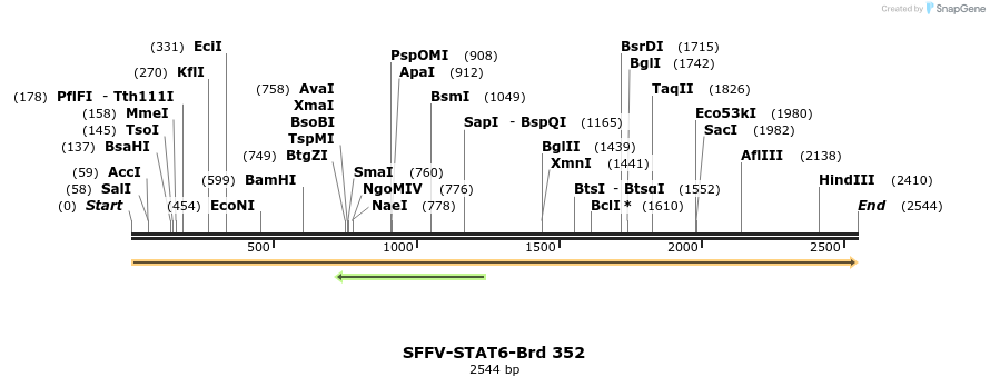 428314_map