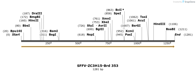 428317_map