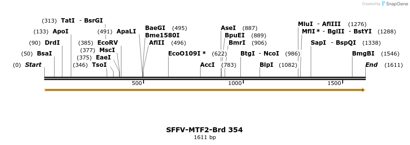 428320_map