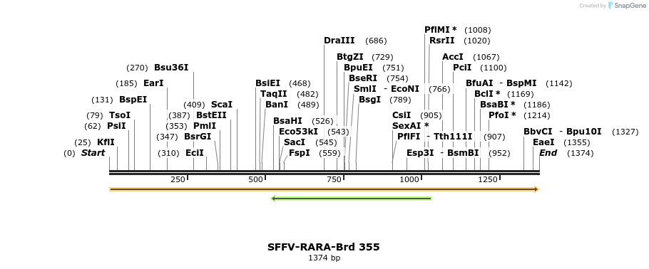 428323_map