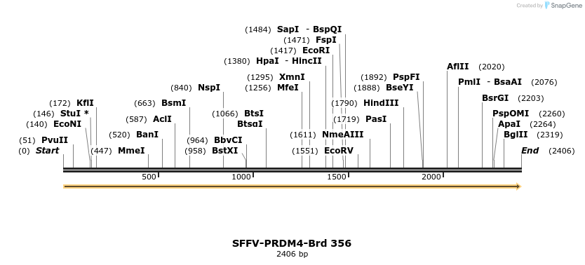 428326_map