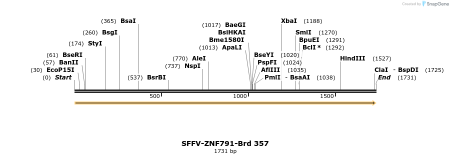 428329_map