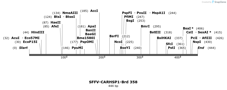 428332_map