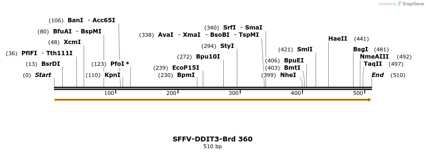 428338_map