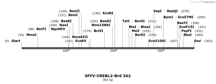 428344_map