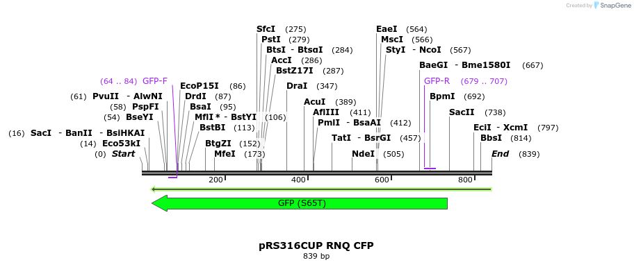 42835_map