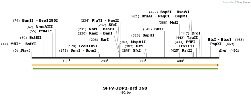 428359_map