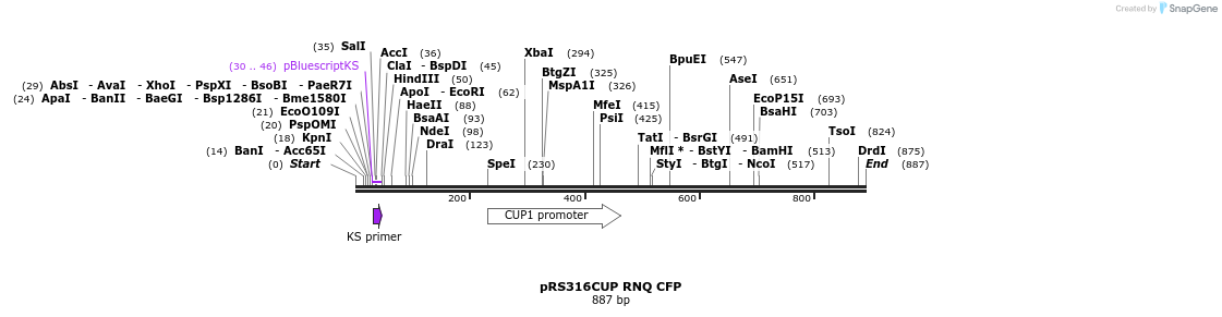 42836_map