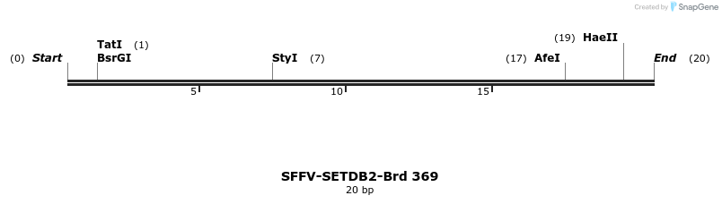 428363_map