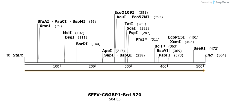 428365_map