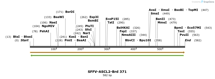 428368_map