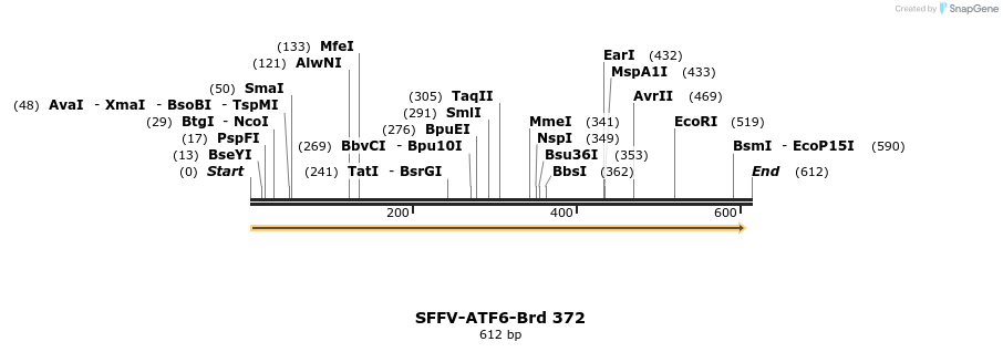 428371_map