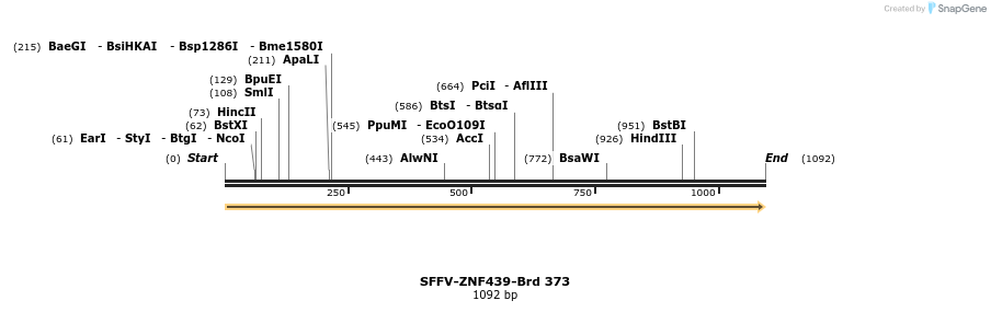 428374_map