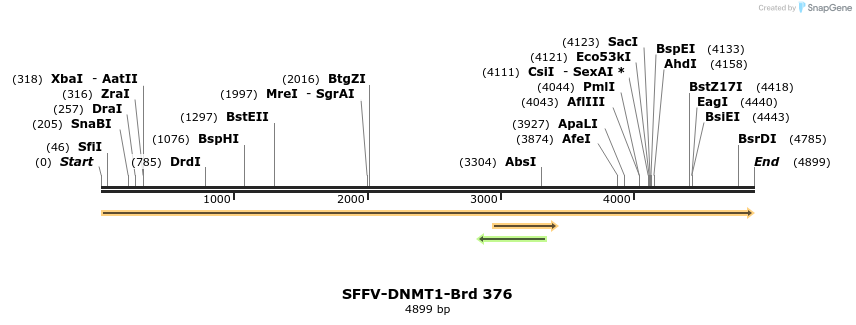 428383_map