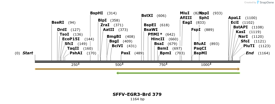 428392_map
