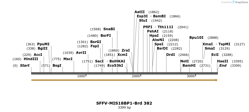 428401_map