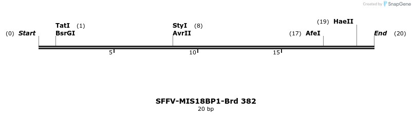 428402_map