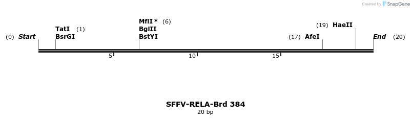 428405_map