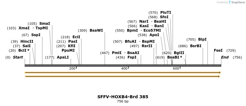 428407_map