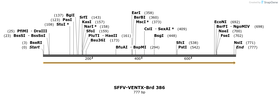 428410_map