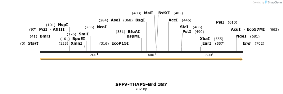 428413_map
