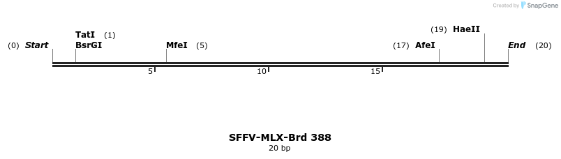 428417_map