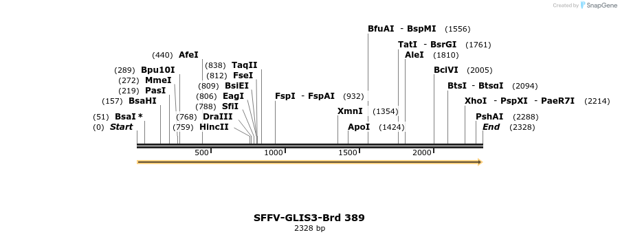 428419_map