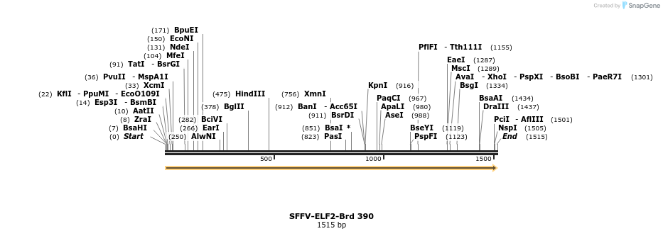 428422_map