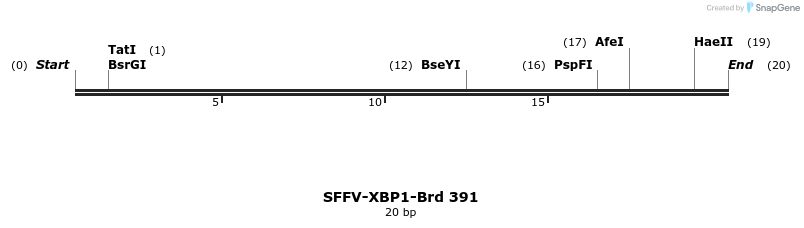 428426_map