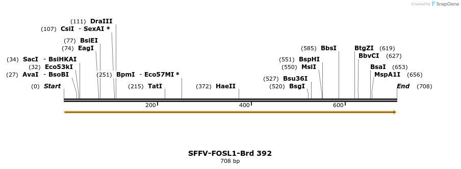 428428_map