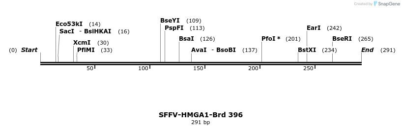 428437_map