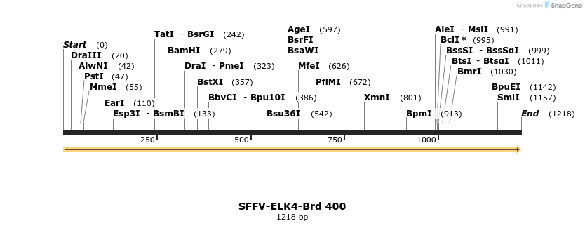 428449_map