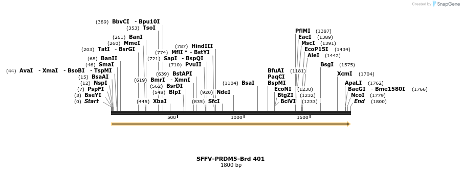 428452_map