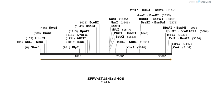 428467_map