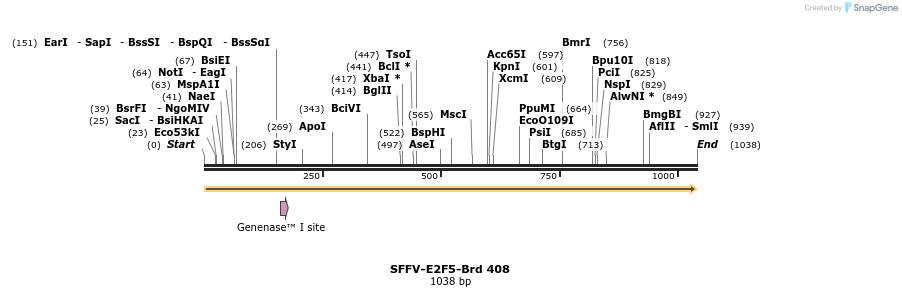 428473_map