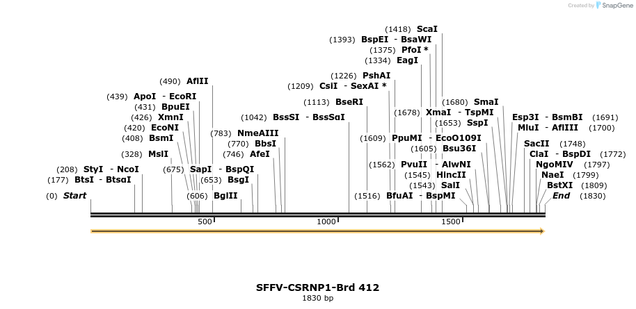 428482_map