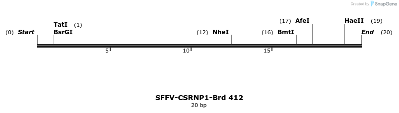 428483_map