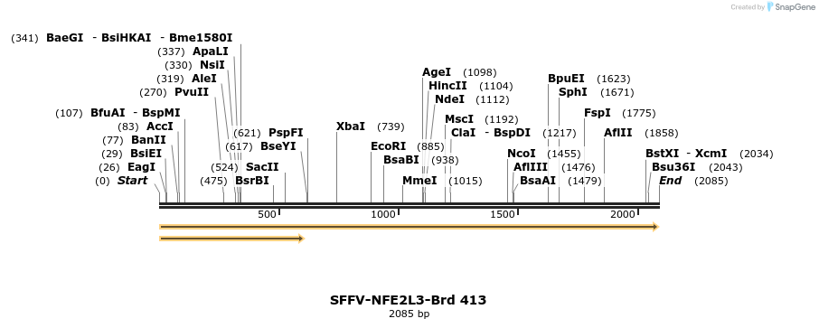 428485_map