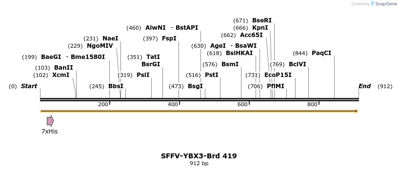 428491_map