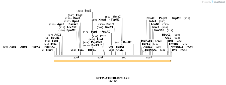 428494_map
