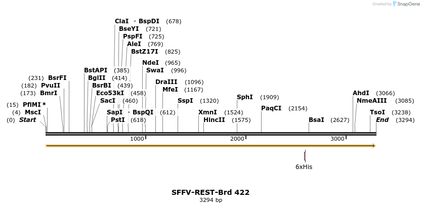 428497_map