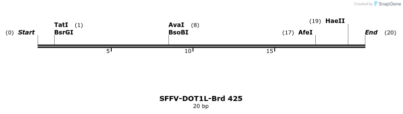428504_map